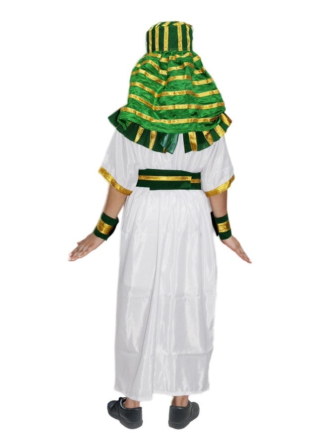 كاكو فانسي دريسيس أزياء تنكرية عالمية من كاكو، زي إله مصري/إله يوناني - متعدد الألوان، مقاس 14-17 سنة، للأولاد والبنات - Image 5